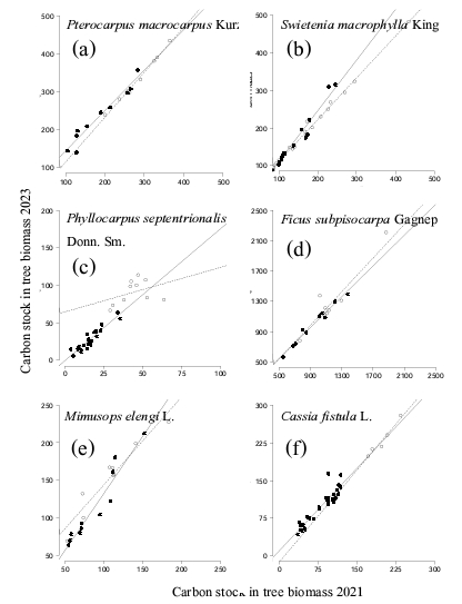 Regression of carbon stock in biomass at 2021 and 2023 of 6 selected species of trees that were pruned at various practices.; (a) and (b) > 50 % and (c), (d), (e) and (f) < 50 %.