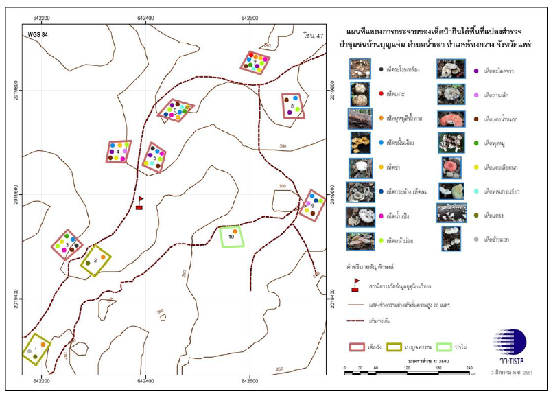 ชนิดของเห็ดป่ากินได้ที่สำรวจพบในแต่ละแปลงสำรวจถาวร บริเวณป่าชุมชนบ้านบุญแจ่ม ต.น้ำเลา อ.ร้องกวาง จ.แพร่ ในปี พ.ศ. 2560-2561