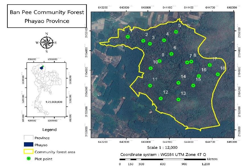 Boundary and location of sampling plots in Ban Pee Community Forest, Pha Yao province.