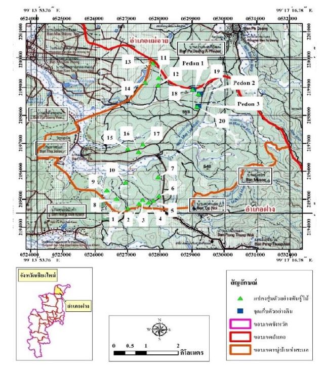 Sample plots laid out int the Tha Sa Lea community forest.