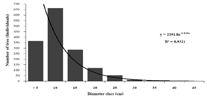 Total trees diameter class distribution (DBH ≥ 2 cm) in conservation areas.