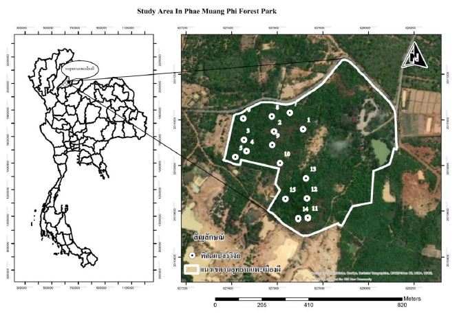 Boundary and location of sampling plots in Phae Muang Phi Forest Park, Phrae province.