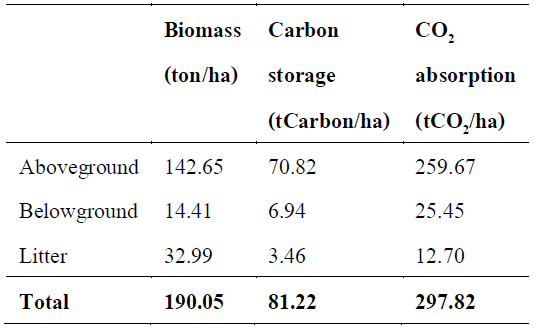 Carbon storage and CO2 absorption in Pine - deciduous dipterocarp forest in 2017.