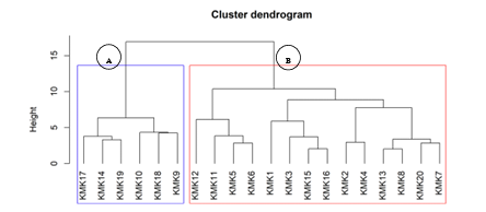 Hierarchical clustering dendrograms of 2 groups of DDF subtypes sample plots (community) in Khun Mea Kuang National Reserved Forest. Group A was dominated by Shorea obtuse, while, Group B was dominated by Dipterocarpus obtusifolius.