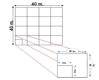 Sample plot size.